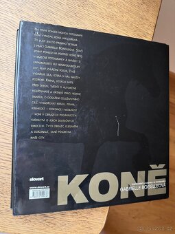 Koně - 3