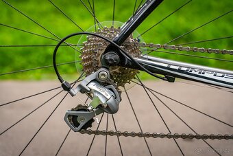 Silniční kolo Giant Defy Carbon - 3