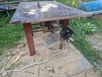 Cirkulárka malá - 3