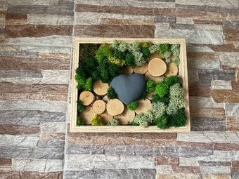 Mechový obrázek - 3