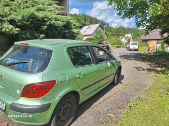 Peugeot 307hdi - 3
