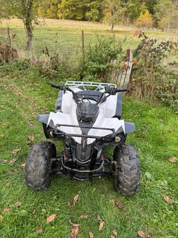 Velká čtyřkolka 125ccm - 3