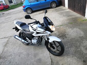 Honda CBF 125 - 3