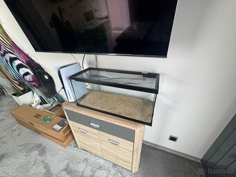 Terarium - 3