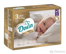 Pleny DADA - 3