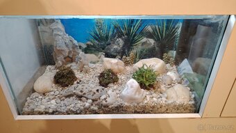 Prodám set akvarii - 3