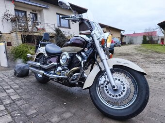 Yamaha XVS100A Drag star - 3