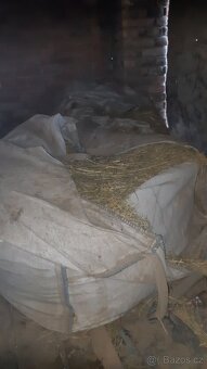 Seno ze zahrady - 3