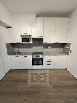 Pronájem bytu 3+1 120 m² se zahradou 300 m², Praha - Hluboče - 3