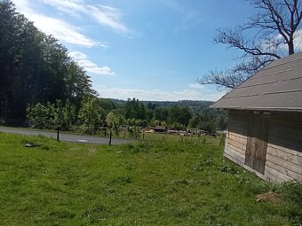 Pronájem pozemků. - 3