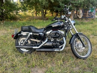 Harley Davidson Sportster 1200 Custom 105th Anniversar - 3