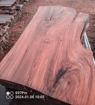 MEGA velké desky Jilm a Jasan - 3