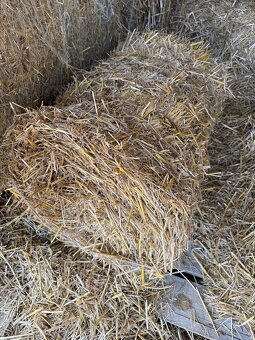 Seno , Sláma, Senáž - 3