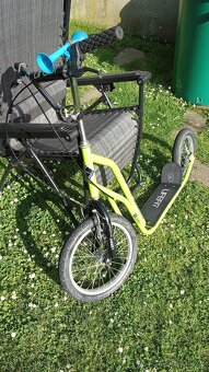Koloběžka Lifefit RIDER - 3