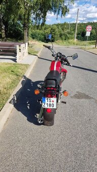 ČZ 175/487 s TP TK do 07/29, Vape - 3