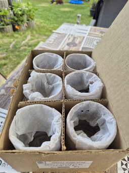 RETRO SKLENIČKY 6X MORAVSKÉ SKLÁRNY KVĚTNÁ - 3