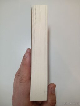 Warhammer: Malekithova zhouba - William King - 3