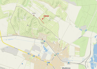 Prodej bývalého vinohradu v Mutěnicích 1828 m2 - 3