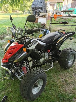 Bashan 200 - 3