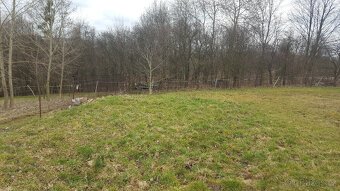 pozemek - zahrada - Terlicko - 3