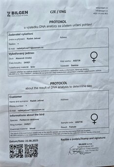 Alexandr čínský - 3