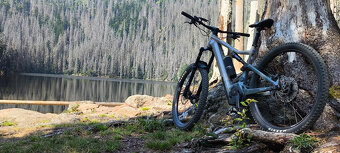 Elektrokolo Focus Jam2 6.7 - 3