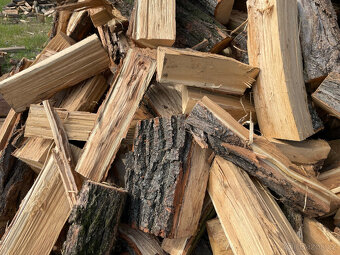 Palivové dřevo tvrdé - 3