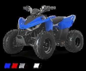 dětská čtyřkolka Linhai ATV 110 2x4 - 3