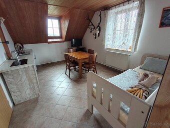 Apartmány s bazénem Jižní Čechy, klidná poloha u lesa. - 3