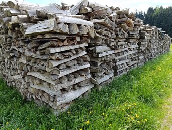 Palivové dřevo - 3