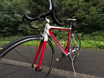 CARBON-7,9kg - 3