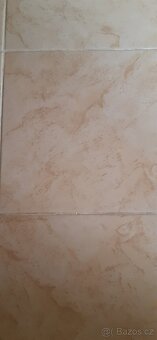 Dlažba Amur béžová 33,3×33,3 cm - 3