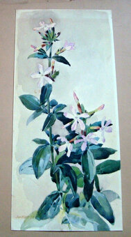 Obrazy - akvarely - 3