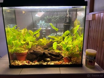 Dva akvarijní sety (akvárium) - 60 a 90 litrů - 3