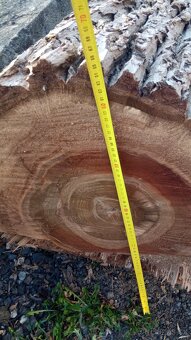 prodám dřevo - ořech - 3