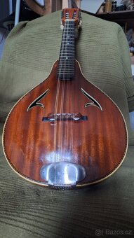 Mandolina Cremona 545 (design Jan Brauer) - 3