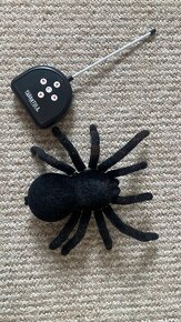 Děsivá tarantule - 3