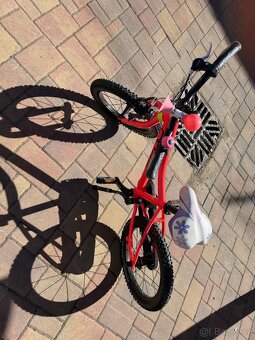 Kolo Core nipper 16” - 3