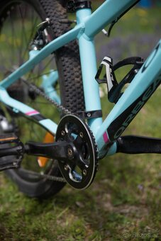 Orbea mx24 team - 3