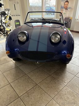Austin Healey froggy - 3