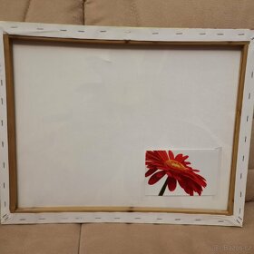 Obraz Kytka , 40x50 cm - 3