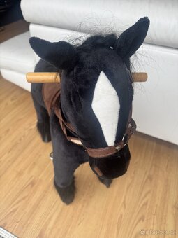 Jezdící ponny - 3