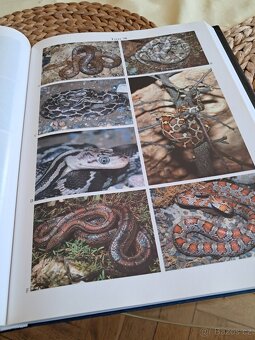 Odborná kniha pro chovatele hadů - 3