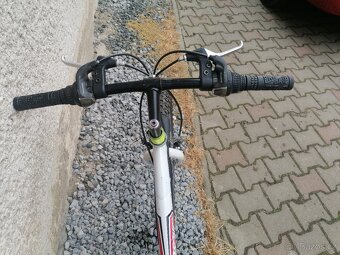 Kolo Olpran Junior - 3