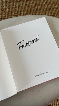 Mirka Van Gils Slavíková - Famózní - 3