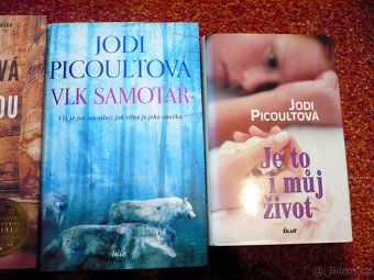 4 x Jodi Picoultová - 3