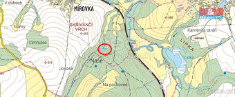 Prodej lesa, 870 m², Havlíčkův Brod, Mírovka - 3