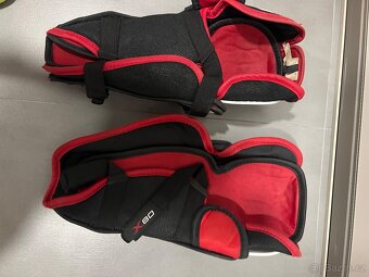 holeni chranice Bauer - 3