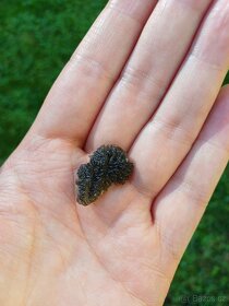 Vltavín Olešnice - 2,9 g - 3