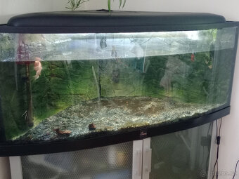 Prodám rohové akvárium 400l - 3